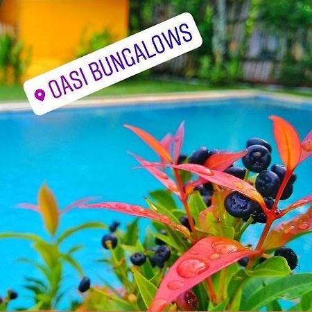 فندق غيلي آيرفي  Oasi Bungalows المظهر الخارجي الصورة